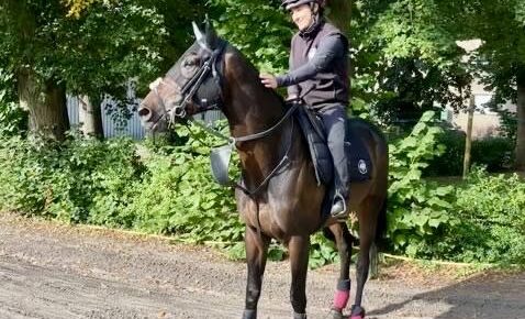 【凱旋門賞】武豊とコンビを組むアルリファーは凱旋門賞直行の予定 【凱旋門賞】武豊とコンビを組むアルリファーは凱旋門賞直行の予定