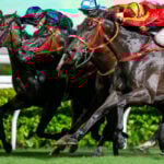 【中山金杯2026予想】過去10年のレース結果・配当・血統まとめ　傾向分析に使えるお役立ちデータ