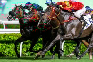 【アメリカジョッキークラブカップ2026予想】過去10年のレース結果・配当・血統まとめ　傾向分析に使えるお役立ちデータ