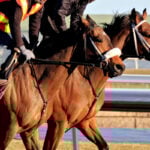 【根岸S/穴ライズ】やたらと相性が良い「得意条件」で急浮上 馬券外続く単勝“6人気”前後に軽視禁物の評価 【根岸S/穴ライズ】やたらと相性が良い「得意条件」で急浮上 馬券外続く単勝“6人気”前後に軽視禁物の評価