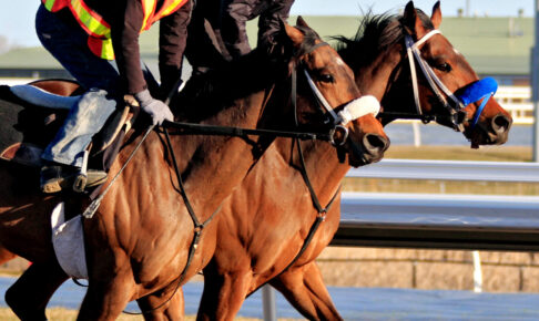 【阪神ジュベナイルF/追い切り診断】想定“2桁人気”に高評価 厩舎の「スペシャルメニュー」追加、驚異のタフネスぶりで伸びしろ大 【阪神ジュベナイルF/追い切り診断】想定“2桁人気”に高評価 厩舎の「スペシャルメニュー」追加、驚異のタフネスぶりで伸びしろ大