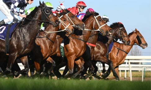 【アイルランドトロフィー2025予想】過去10年のレース結果・配当・血統まとめ　傾向分析に使えるお役立ちデータ