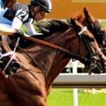 【ヴィクトリアマイル／データ攻略】サフィラとボンドガールの「買い or 消し」　阪神牝馬S組2頭で“メイチ狙い”は