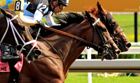 【ヴィクトリアマイル/データ攻略】サフィラとボンドガールの「買い or 消し」 阪神牝馬S組2頭で“メイチ狙い”は 【ヴィクトリアマイル/データ攻略】サフィラとボンドガールの「買い or 消し」 阪神牝馬S組2頭で“メイチ狙い”は