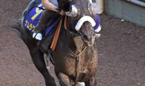 【スプリンターズS】ナムラクレア　坂路で力強い動き　新コンビ横山武「想像以上にパワフル」