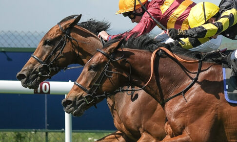 【ヴィクトリアマイル/穴ライズ】近2戦は「度外視レベル」の敗戦 課題克服の気配漂う想定“10人気”前後に一発あり 【ヴィクトリアマイル/穴ライズ】近2戦は「度外視レベル」の敗戦 課題克服の気配漂う想定“10人気”前後に一発あり