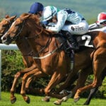 【中山金杯／穴ライズ】間違いなく中山巧者の想定“8人気”前後に注目　負かした相手と勝ちっぷりから通用レベルにあり