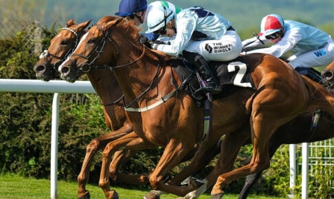 【中山金杯／穴ライズ】間違いなく中山巧者の想定“8人気”前後に注目　負かした相手と勝ちっぷりから通用レベルにあり