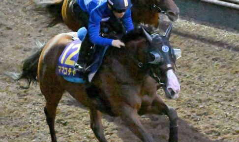 【スプリンターズS】ママコチャ　態勢万全　叩いて状態上向き　川田騎手「夏を越えて良さ戻っている」