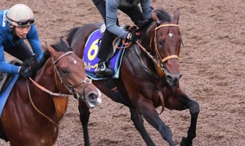 【スプリンターズS】サトノレーヴ　躍動　初戴冠へ最終リハ　堀師も納得の動き「時計的な強度もちょうど良い」