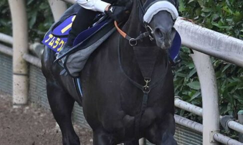 【スプリンターズS】ナムラクレア　良好　栗東坂路で切れある動き　悲願のG1制覇ヘ　長谷川師「状態いい」