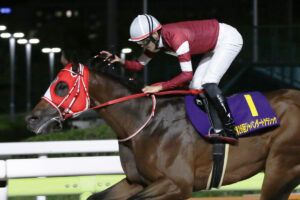 フォーエバーヤング／2024年ジャパンダートクラシック（写真：SPREAD編集部）