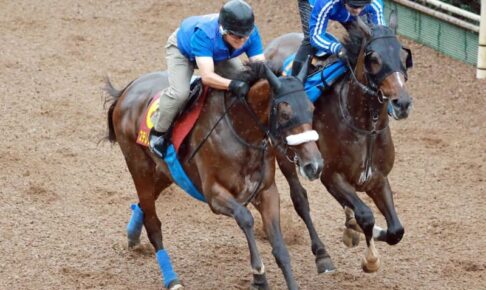 【秋華賞】ステレンボッシュ　魅せたパワフル走！ひと夏越して肉体面にも成長　田村助手も期待「どんな競馬でも応えてくれる」
