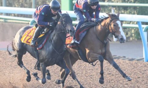 【秋華賞】チェルヴィニア　攻めの調整！美浦W3週連続長めにビシっと　太田助手「順調に調整はできている」