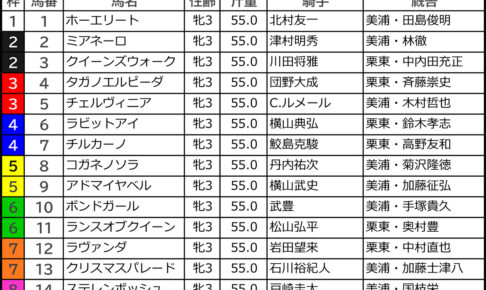 秋華賞2024の枠順