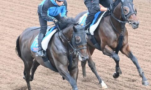 【菊花賞】コスモキュランダ　僚馬ペッパーミルとリズムぴったり併せ馬　伊藤助手「気持ちにも徐々にスイッチが入ってきた」