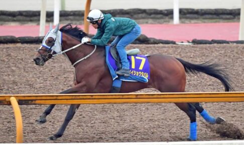 【菊花賞】メイショウタバル成長見せた　馬なりで力強い伸び披露　テンションがVへの鍵に　浜中「気分害さないように運びたい」