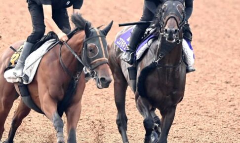 【菊花賞】コスモキュランダ　ラスト1冠奪取へ抜かりなし　フォーム・状態ともにダービー以上　加藤士師も手応え十分