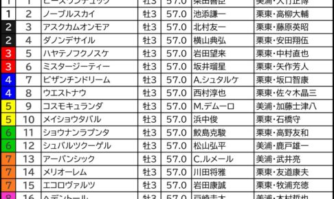 菊花賞2024の枠順