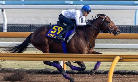 【天皇賞】ドウデュース　伸び脚別格　武豊「言うことなく全ていい」