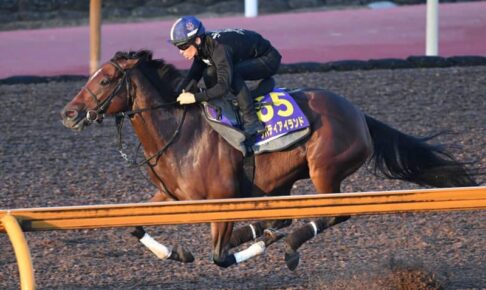 【天皇賞】リバティアイランド　女王の本領発揮　久々も動き絶好