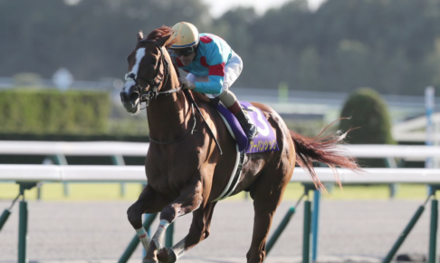 【菊花賞2025特集】「GI馬不在のラスト一冠、前哨戦Vのエリキング中心か」出走予定・枠順・追い切り・予想オッズetc.