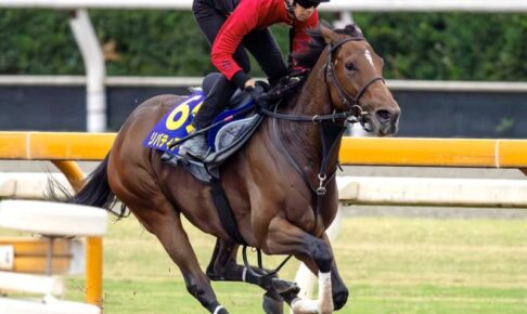 【天皇賞】リバティアイランド　弾丸デモ　アーモンドアイ以来の牝馬Vへ　7カ月ぶりでも緩慢さ皆無！休養効果でパワーUP