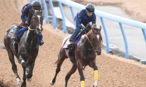 【天皇賞】レーベンスティール　勢いイチバン！　文句なしの追い切り内容にルメール手応え「スイッチオンになったね」