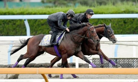【天皇賞】ドウデュース　大人の余裕　夏越してさらに成長！ソフト仕上げで態勢万全　武豊「乗っていてうれしくなるような動き」