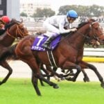 【天皇賞秋2025予想】過去10年のレース結果・配当・血統まとめ 傾向分析に使えるお役立ちデータ 【天皇賞秋2025予想】過去10年のレース結果・配当・血統まとめ 傾向分析に使えるお役立ちデータ