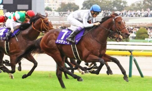ドウデュース／2024年天皇賞秋（C）Toshihiko Yanagi