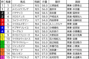 アルゼンチン共和国杯2024の枠順