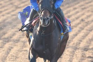 【エリザベス女王杯】シンティレーション　G1初挑戦へ臨戦態勢整った　池上師「問題はない」