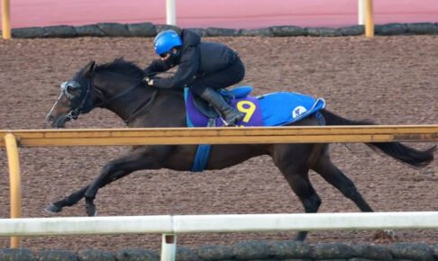 【マイルCS】ソウルラッシュ　圧巻独走追い　池江師「理想的な追い切り。上積みはありますよ」