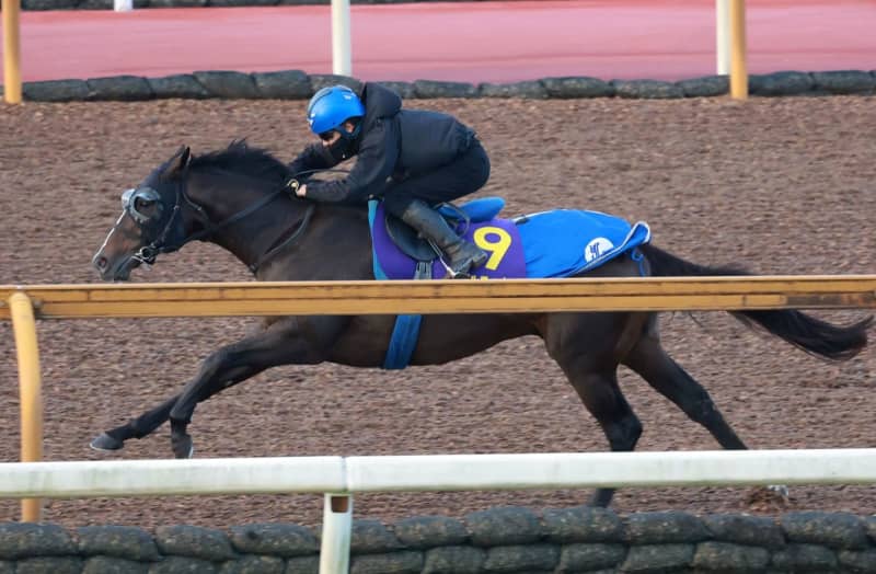 【マイルCS】ソウルラッシュ 圧巻独走追い 池江師「理想的な追い切り。上積みはありますよ」 【マイルCS】ソウルラッシュ 圧巻独走追い 池江師「理想的な追い切り。上積みはありますよ」