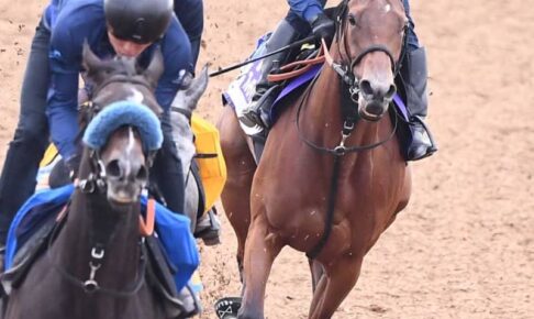 【マイルCS】ブレイディヴェーグ　3頭併せで併入　宮田師「伸び脚は目を見張る」