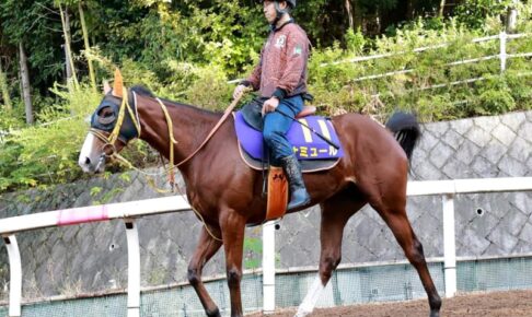 【マイルCS】ナミュール　欧州最強マイラーを迎え撃つ！史上7頭目の連覇で復権だ　C・デムーロ「条件合っている」