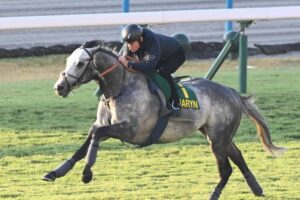 【マイルCS】チャリン　本物　外国馬初Vへ前評判覆すパワフルな動き　ムーア手応え「非常にいい」