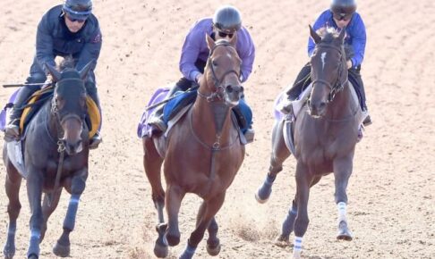 【ジャパンC】スターズオンアース　楽に好時計マーク　高柳瑞師も手応え「グッと上がった感じがある」