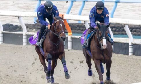 【ジャパンC】ドウデュース　超絶好調　圧巻Vの秋盾からさらに上積み　友道師「ワンランクアップ」