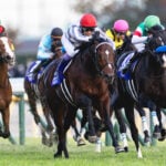 【ジャパンカップ2025予想】過去10年のレース結果・配当・血統まとめ 傾向分析に使えるお役立ちデータ 【ジャパンカップ2025予想】過去10年のレース結果・配当・血統まとめ 傾向分析に使えるお役立ちデータ