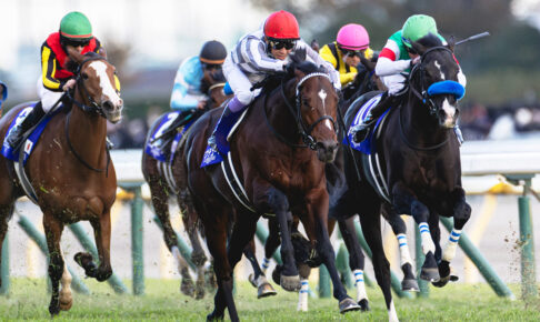 ドウデュース／2024年ジャパンカップ（C）ロイター