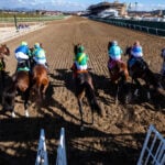 【みやこステークス2025予想】過去10年のレース結果・配当・血統まとめ 傾向分析に使えるお役立ちデータ 【みやこステークス2025予想】過去10年のレース結果・配当・血統まとめ 傾向分析に使えるお役立ちデータ