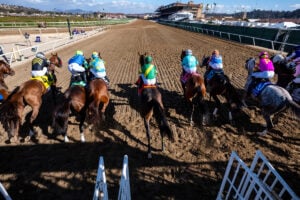 【プロキオンステークス2026予想】過去10年のレース結果・配当・血統まとめ　傾向分析に使えるお役立ちデータ