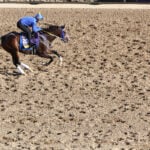 【根岸S／追い切り診断】ローテ意識の調整過程に「A」の高評価　猛時計マークで「スピード感たっぷり」