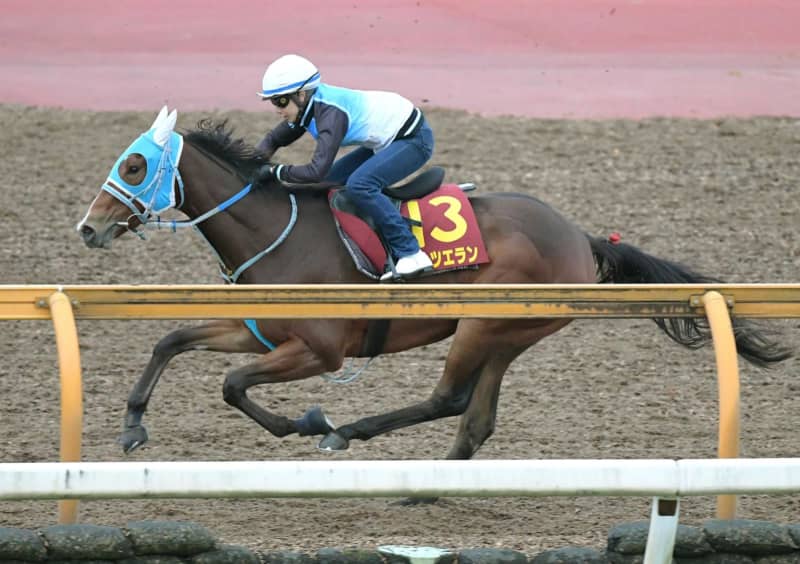 【阪神JF】ダンツエラン 好ラップ刻んだ 本田師「走るバランスは変わってきている」 【阪神JF】ダンツエラン 好ラップ刻んだ 本田師「走るバランスは変わってきている」