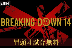 【BreakingDown14】12月8日 対戦カード、視聴方法、試合結果一覧