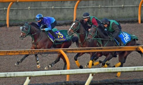 【朝日杯FS】パンジャタワー　馬なり好時計 松山＆橋口師絶賛の動き　無傷3連勝で2歳の頂点へ