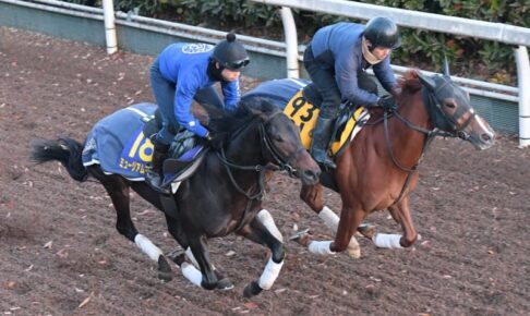 【朝日杯FS】ミュージアムマイル　鋭さ増した　栗東坂路でレオテミスと併せ馬　高柳大師「変わらず来ている」