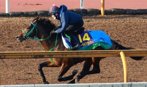 【朝日杯FS】トータルクラリティ　馬なり軽快走　池添師「気が強いことがいい方に」